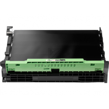 BROTHER Transfer-Belt BU-229CL HL-L8240CDW 50'000 Seiten