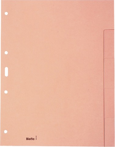 BIELLA Kartonregister A4 19640500U braun 5-teilig