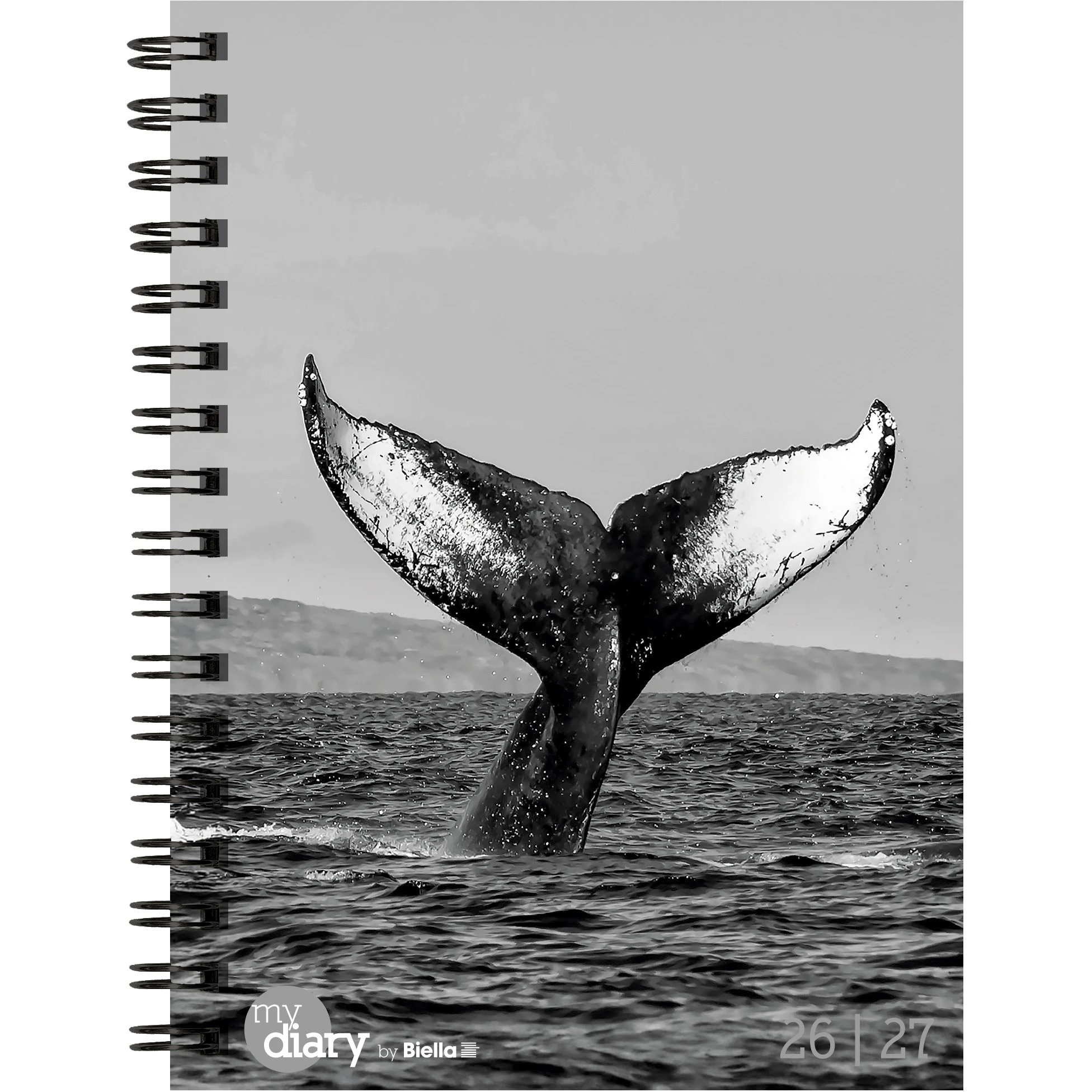 BIELLA Schüleragenda Whale 26/27 806517860027U 1W/2S 12x16.5cm