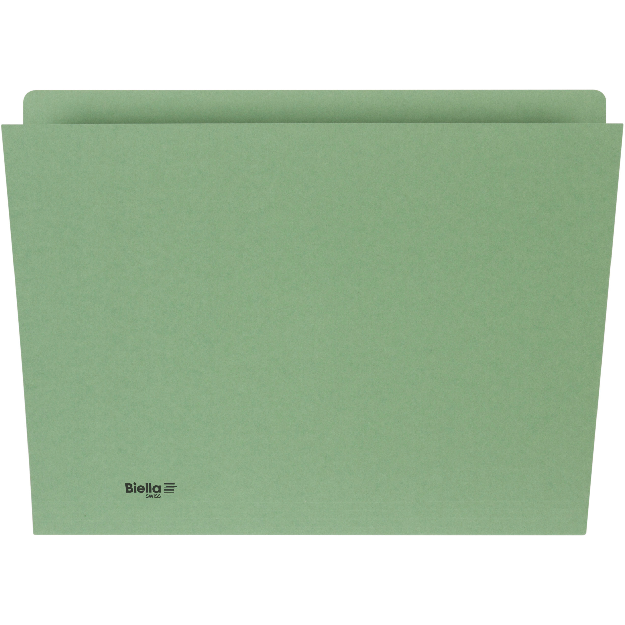 BIELLA Vertikalmappe A4 25542430U grün 240g 100 Stück